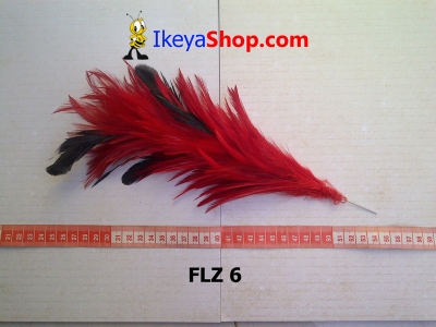 FLZ 6  large2